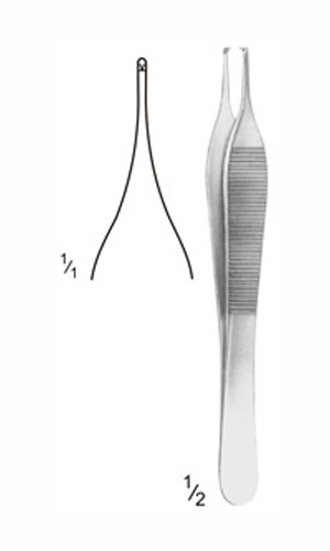 Dissecting Forceps